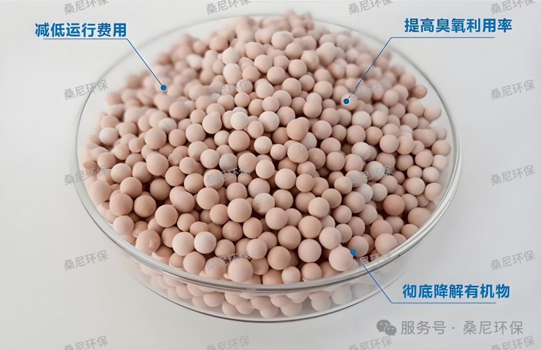 微信图片_2026-08-19_162511_691.jpg 微信图片_2026-08-19_162511_691.jpg