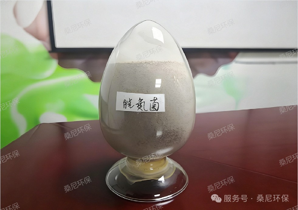 微信图片_2026-08-19_162534_550.jpg 微信图片_2026-08-19_162534_550.jpg
